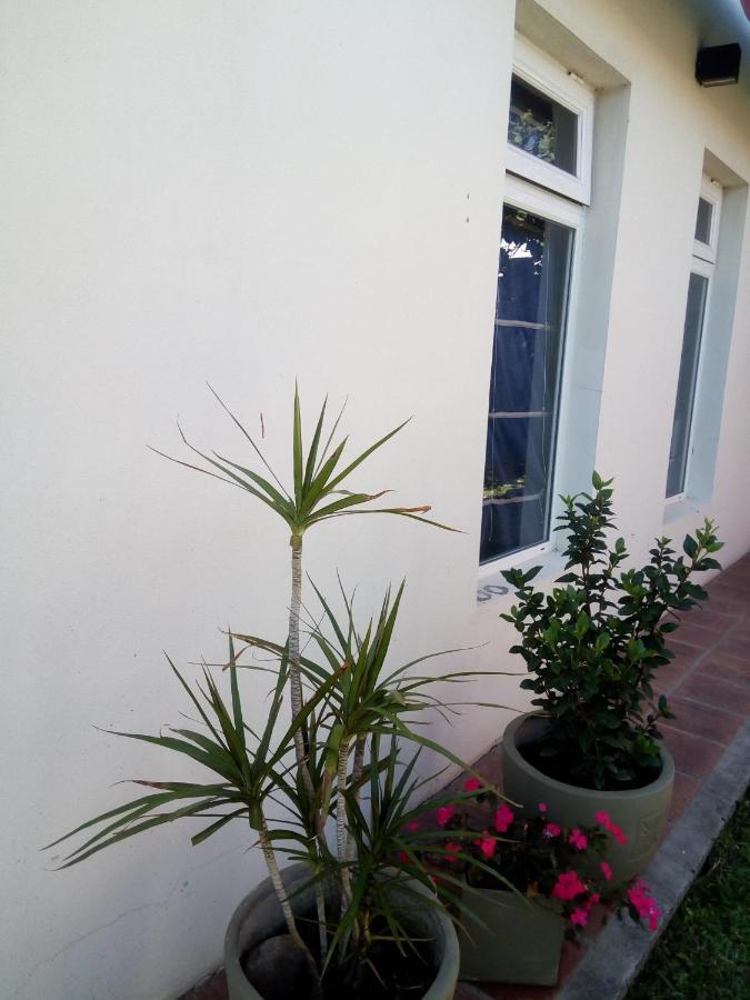 Apartament El Zohar 2 Pax Federación Zewnętrze zdjęcie